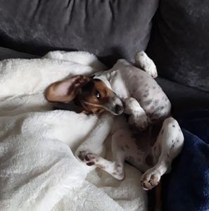 Meet your Posher, Virginia